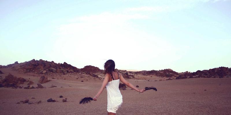 Reflexiones de Fin de Año: Seis Meses Creando Impacto Duradero